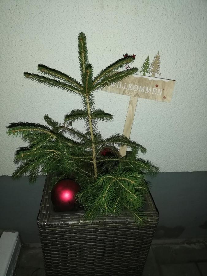 Pension Winter Mucheln Zewnętrze zdjęcie